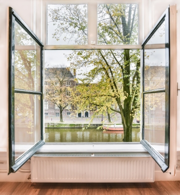 Jakie osłony bambusowe wybrać? – poradnik dla Twojego domu